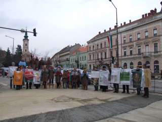 2013.02.09. Farsangi felvonulás 021.JPG 2013.02.09. Farsangi felvonulás 021.JPG