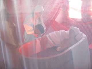 Nyírbátor, Vár u. 01.10.kép.jpg Nyírbátor, Vár u. 01.10.kép.jpg